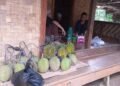 Durian Baduy