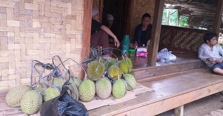 Durian Baduy