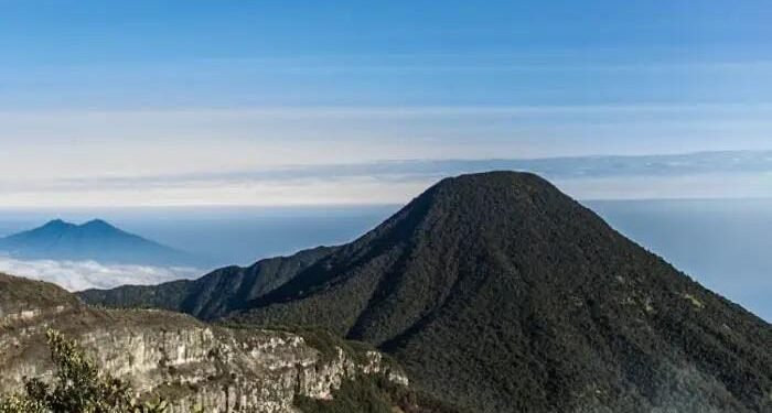 Jalur pendakian Gunung Gede Pangrango