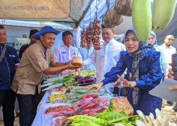 Rayakan HUT Kabupaten Serang ke 499, Warga dan ASN Borong Bazar Murah di Padarincang 3 HUT Kabupaten Serang