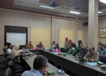DPRD Kota Serang Dorong Percepatan Penerapan Meritokrasi dan Manajemen Talenta 1 Meritokrasi