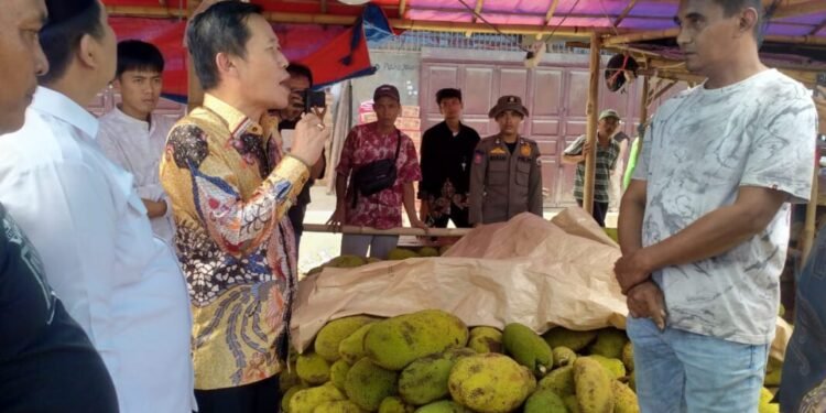 PKL Pasar Induk Rau Berjualan di Zona Bahaya Jalur Pipa Gas, Tempat Relokasi Tak Layak 1 Pasar Induk Rau