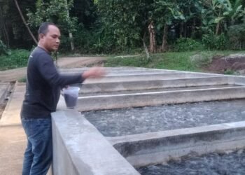 Dari Seragam Polisi ke Kolam Ikan Lele, Kisah AKP Ius Gala Reka Sukses Bangun Kampung Lele di Pandeglang 3 Polisi