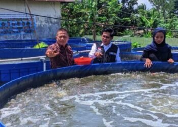 Ikan tawar