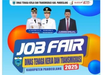 Job Fair Disnakertrans Kabupaten Pandeglang 2025