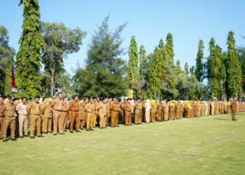 Pemkot Cilegon Putuskan Ambil Standar Terendah Gaji PPPK, Ini Perbandingan Besaran Gaji Pegawai Outsourcing dan PPPK Paruh Waktu 3 PPPK honorer