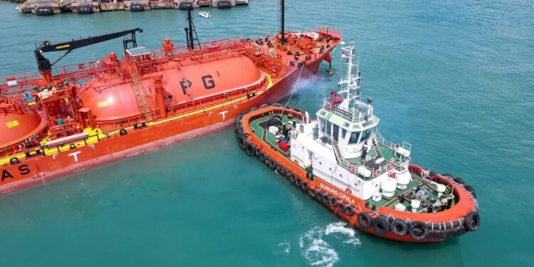 14 Peserta Berebut Kursi Direktur Keuangan dan SDM PCM, dari Bankir hingga Pengangguran 1 Seleksi direktur keuangan PT PCM