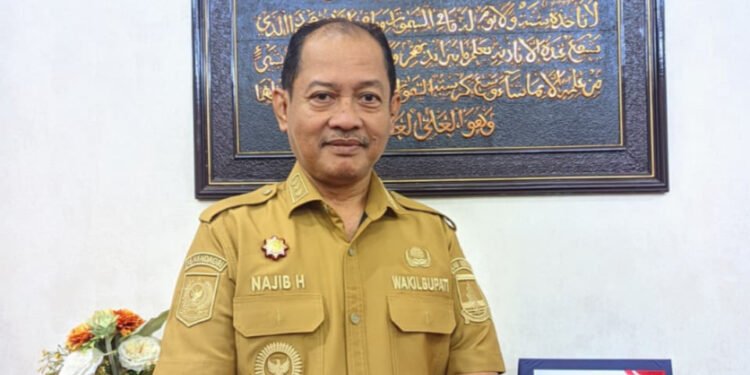 Bojonegara dan Puloampel Dipenuhi Truk, Wabup Serang Ngaku Terus Dicurhati Warga 1 Truk Najib Hamas