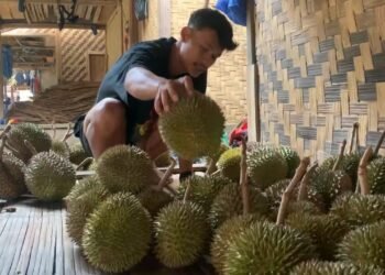 durian baduy