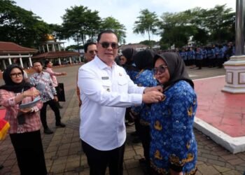 PPPK Paruh Waktu