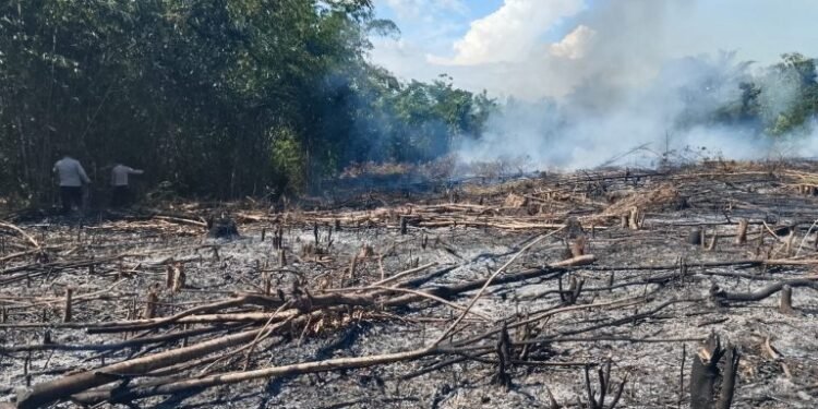 Lahan Kosong di Rangkasbitung Terbakar, Warga Perumahan Beka Residence Panik 1 Rangkasbitung