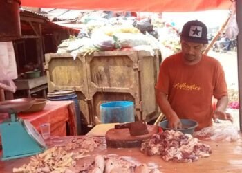 Harga Ayam Potong di Pandeglang Tembus Rp 37 Ribu 1 harga ayam potong