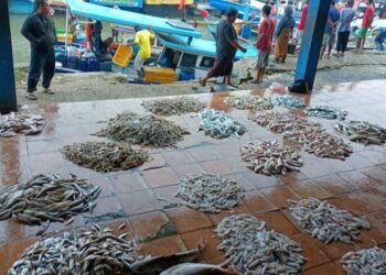 Butuh Perbaikan, Lima Bangunan TPI Rusak Berat di Kabupaten Pandeglang 3 TPI