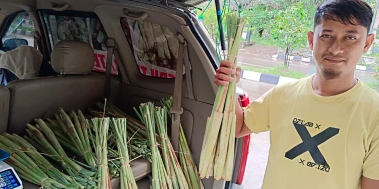 Tebu Telur Serang Jadi Sayuran Lezat Langganan Anggota Dewan Ida Rosida 1 Tebu telur