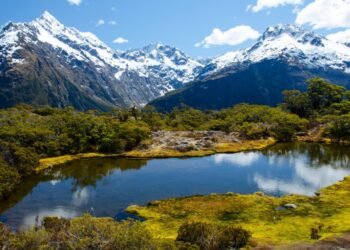 Ingin Kuliah Gratis di New Zealand? Berikut Panduan Lengkap Beasiswa Manaaki Selandia Baru 2025 3 Beasiswa