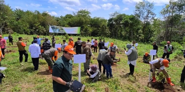14 Ribu Pohon Ditanam untuk Cegah Banjir di Banten 1 Pohon