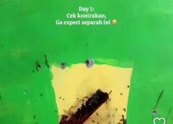Viral Pemilik Kontrakan Ini Kaget Saat Cek Kondisi Rumahnya Usai Disewakan Selama 5 Tahun 1 Kontrakan