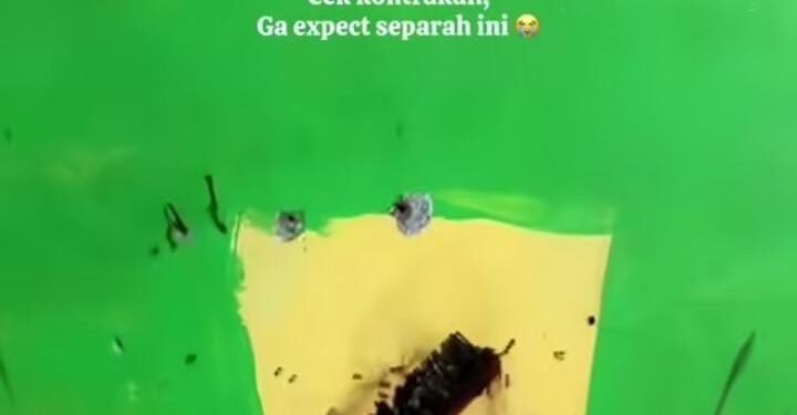 Viral Pemilik Kontrakan Ini Kaget Saat Cek Kondisi Rumahnya Usai Disewakan Selama 5 Tahun 1 Kontrakan