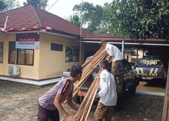 Penebangan pohon di TNUK