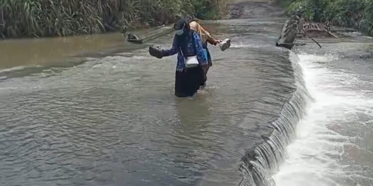 Bidan Puskesmas Cikeusik, Kecamatan Cikeusik, Kabupaten Pandeglang, rela menerjang arus Sungai Cikadongdong untuk memberikan pelayanan kesehatan imunisasi kepada peserta didik di SDN Cikadongdong 1, Rabu (12/11).