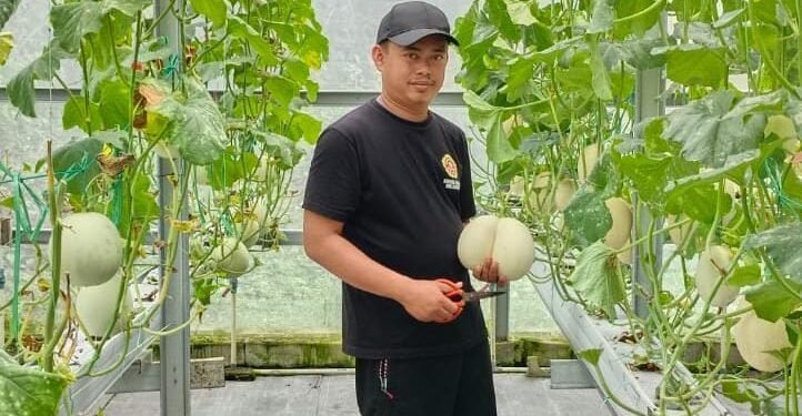 Petani Melon di Waringinkurung
