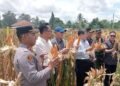 Didatangi Delegasi China, Program Ketahanan Pangan di Kabupaten Serang Jadi Percontohan 20 Program ketahanan pangan