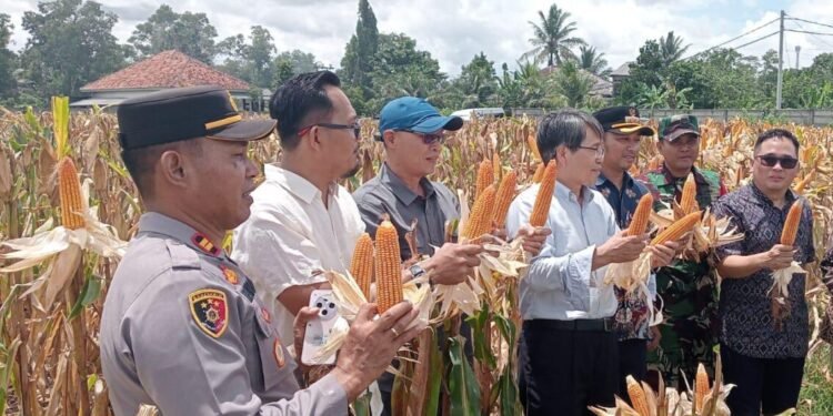 Program ketahanan pangan