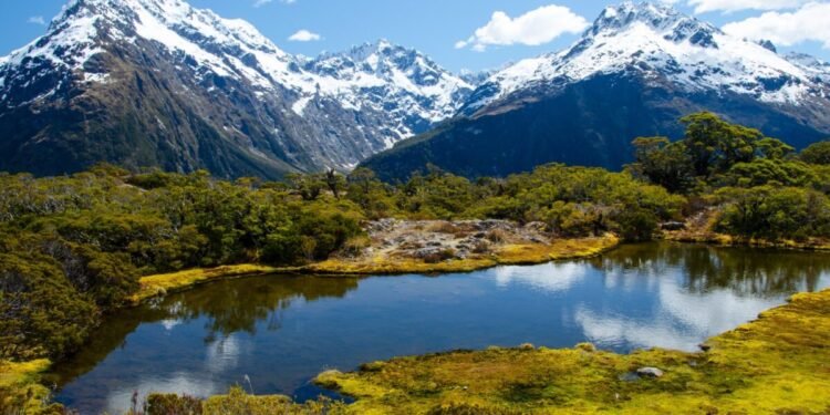 Beasiswa Manaaki New Zealand Sediakan Kuliah Gratis S2–S3 dengan Pendanaan Penuh 1 kuliah gratis