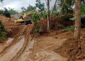 Sawah Warga Desa Cibitung Pandeglang Tertimbun Limbah Tambang Tanah dan Batu 1 sawah