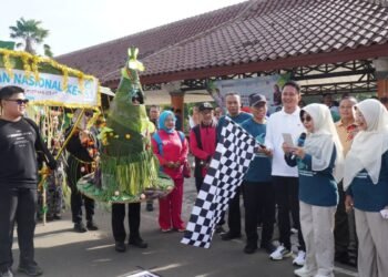 Puncak HKN di Kabupaten Pandeglang, Pakaian dari Buah dan Sayur Warnai Pawai 1 HKN