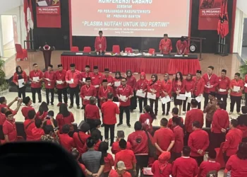 Ogah Jadi Oposisi, PDI Perjuangan Banten Tegaskan Hanya Jadi Mitra Kritis Pemprov Banten 8 Pdi Perjuangan