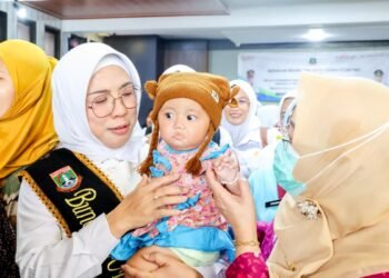 Percepatan Penurunan Stunting, Pemprov Banten Ajak Masyarakat Jadi Orang Tua Asuh 2 Ketua Tim Penggerak PKK, Tinawati Soni