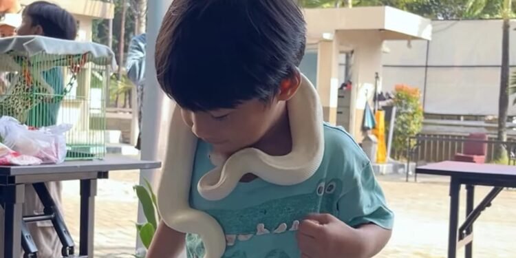 Pariwisata Berbasis Hewan Perlu Perhatikan Kebebasan Satwa 1 Pariwisata berbasis hewan