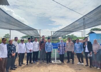 BUMDes Teluk Terate Ternak 12 Ribu Ikan Lele, Diklaim Sumbang Pendapatan Desa 6 ikan lele