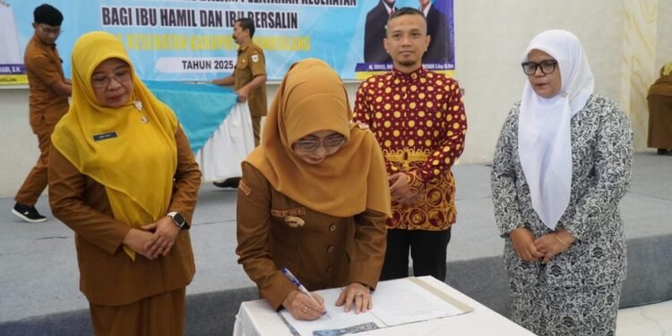 Angka Kematian Ibu dan Bayi di Kabupaten Pandeglang Diklaim Turun, Jumlahnya Masih Ratusan 1 Kabupaten Pandeglang