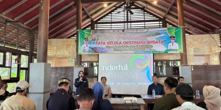 tata kelola destinas wisata