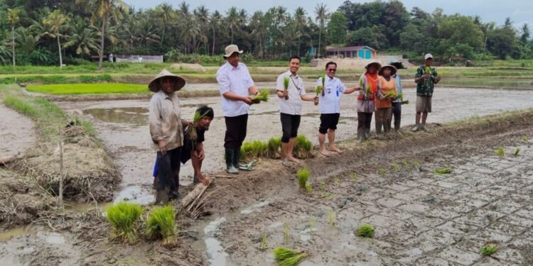 Camat Citangkil Ikhlasin Nufus soroti minim petani