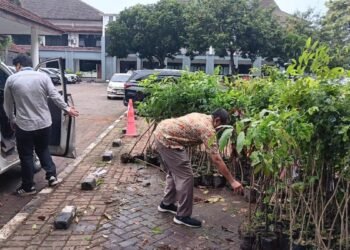 Kelurahan Cilegon kesulitan menanam pohon di bekas tambang