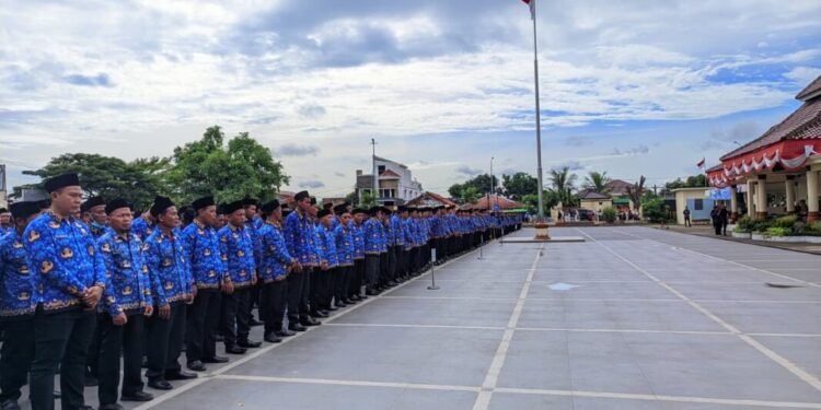 Honorer di Kabupaten Serang