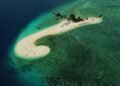 4 Destinasi Wisata Bawah Laut di Indonesia, Yuk Selami Keindahannya 10 Bawah laut