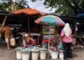 Imbas Tak Ada Penjual Daging, Penjualan Ikan Melonjak Pesat di Pasar Kranggot 9 Aktivitas jual beli ikan di Pasar Kranggot Cilegon meningkat tajam saat kios pedagang daging kosong akibat aksi mogok berjualan