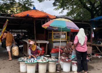 Imbas Tak Ada Penjual Daging, Penjualan Ikan Melonjak Pesat di Pasar Kranggot 7 Aktivitas jual beli ikan di Pasar Kranggot Cilegon meningkat tajam saat kios pedagang daging kosong akibat aksi mogok berjualan