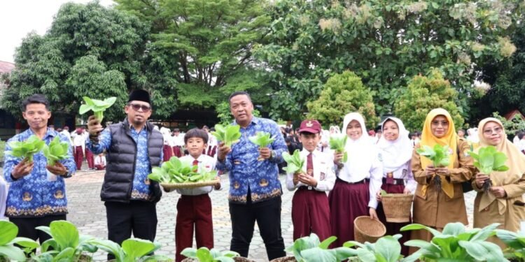 SD Negeri Banjarsari 5 Kota Serang