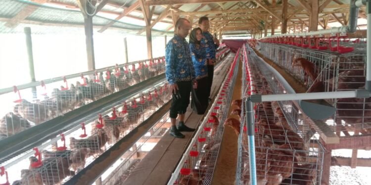 Camat Binuang Mamak Abror