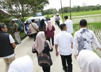 Andra Soni Ajak Pemkab Pandeglang Patungan Bangun Jalan Desa 6 Gubernur Banten Andra Soni saat meninjau jalan desa