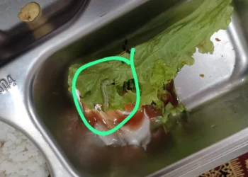 Ulat di Menu MBG di SD Negeri Pandeglang 4 pada Kamis, 12 Februari 2026. (Kiriman Warga)