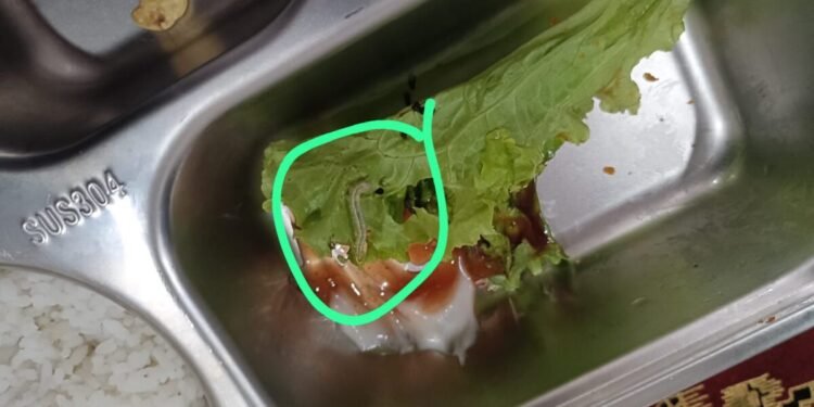 Ulat di Menu MBG di SD Negeri Pandeglang 4 pada Kamis, 12 Februari 2026. (Kiriman Warga)