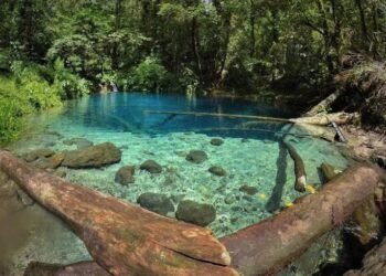 Surga Tersembunyi di Jambi, Danau Kaco Dikenal Air Sebening Kaca 6 Potret Danau Kaco Jambi yang sangat jernih. Dok: Travelling Indonesia