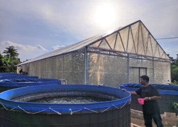 Ketua BUMDes Cipta Mandiri Harjatani Budi Santoso