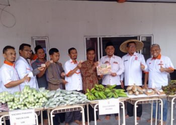 pasar tani